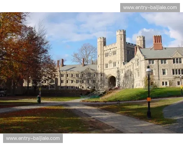 16强VS:巅峰之上的博弈艺术与命运的回响 16强VS:巅峰之上的博弈艺术与命运的回响